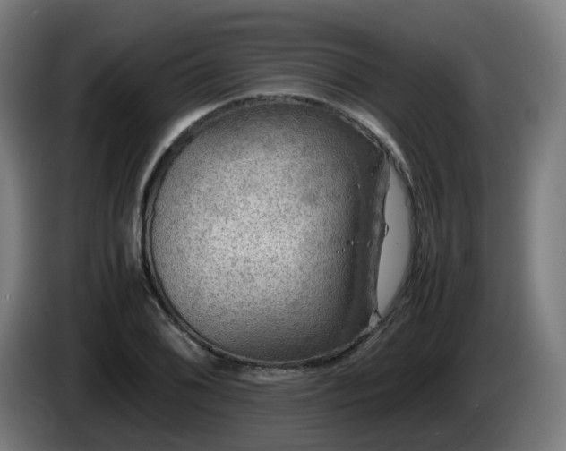 X0000086011076200703301005