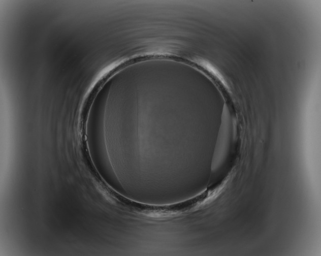 X0000086011077200703301005