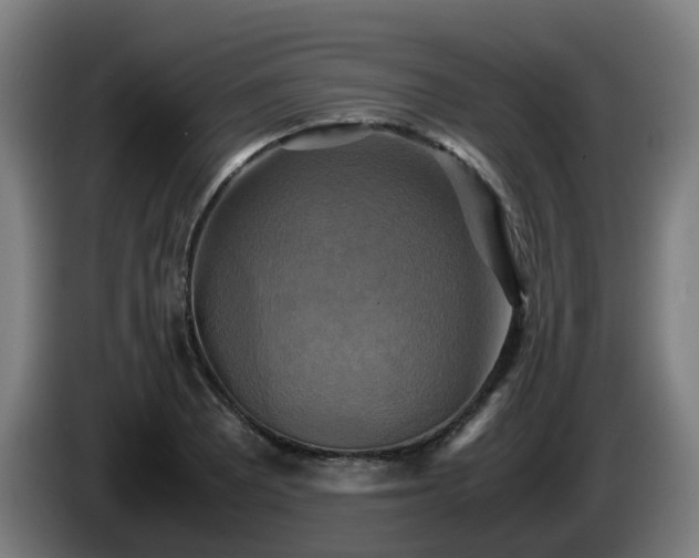 X0000086011081200703301005
