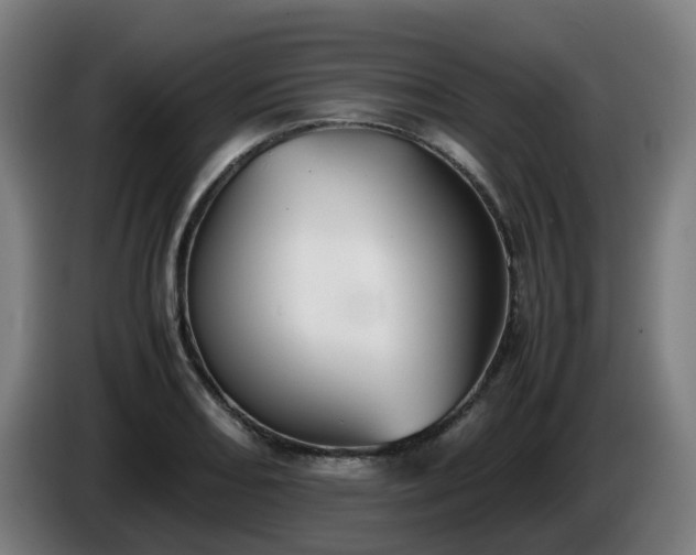 X0000086011082200703301005