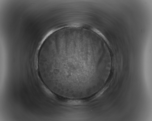 X0000086011083200703301005
