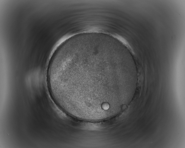 X0000086011086200703301005