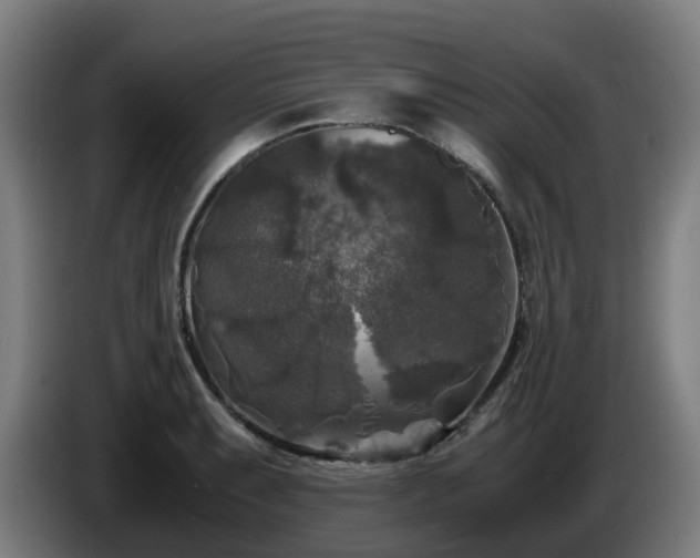X0000086011087200703301005