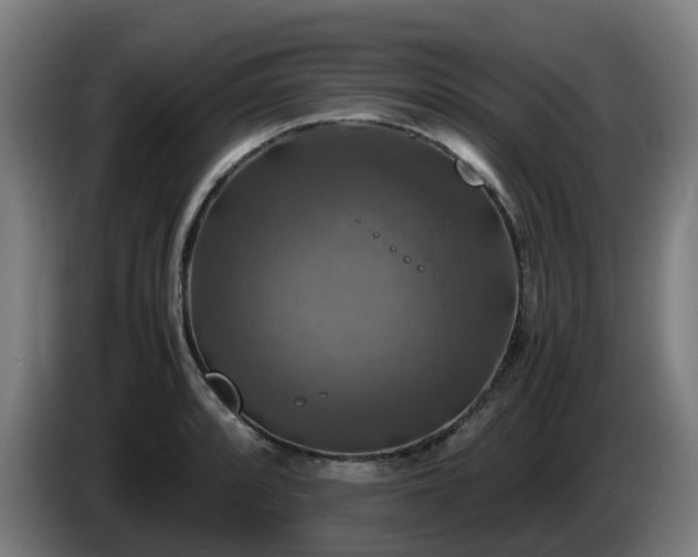 X0000086011088200703301005