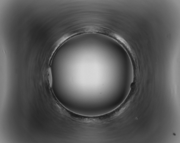 X0000086011089200703301005