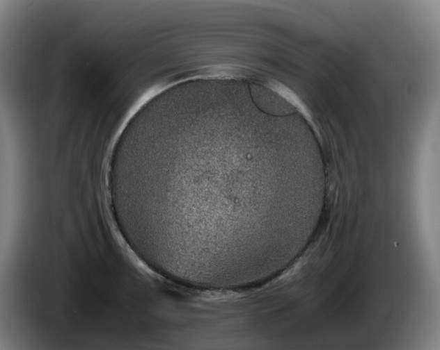 X0000086011091200703301005