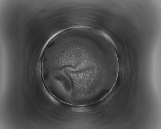 X0000086011092200703301005