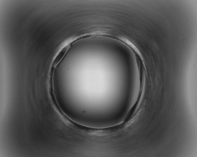X0000086011093200703301005