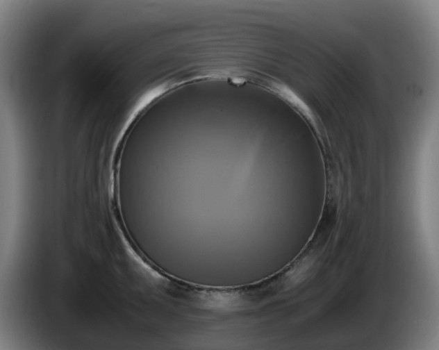X0000086011095200703301005