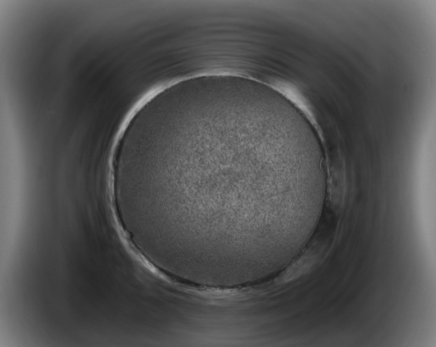X0000086011096200703301005