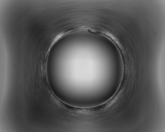 X0000086011097200703301005