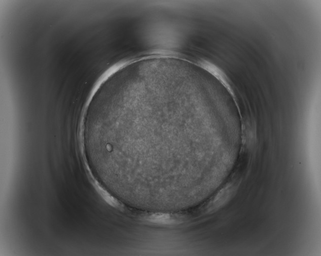 X0000086011098200703301005