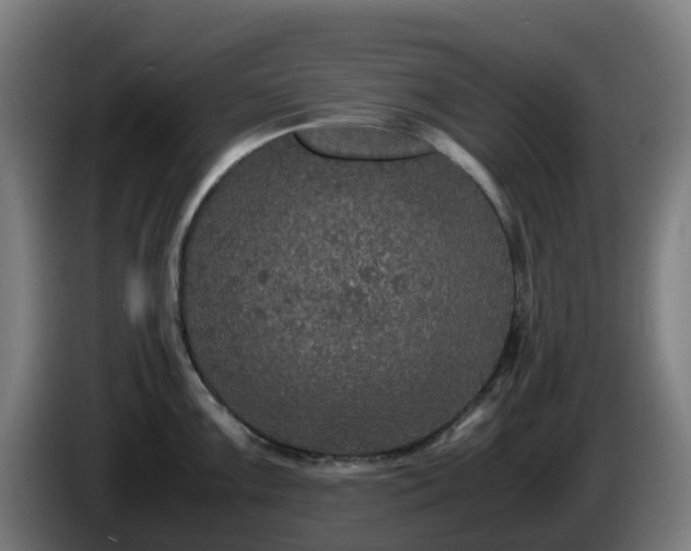 X0000086011099200703301005