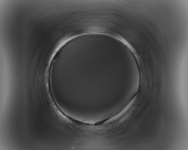 X0000086011102200703301005