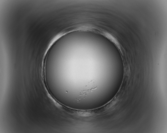 X0000086011103200703301005