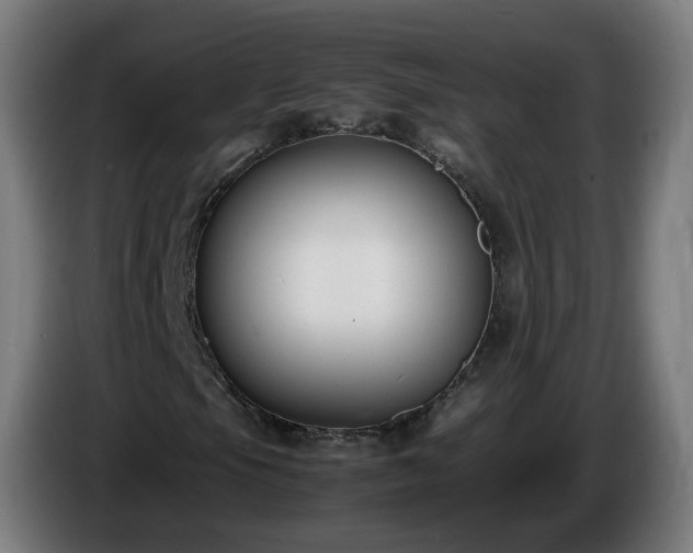 X0000086011105200703301004