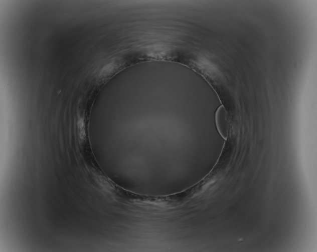 X0000086011106200703301004