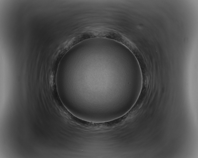 X0000086011108200703301004