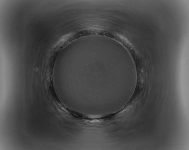 X0000086011110200703301004