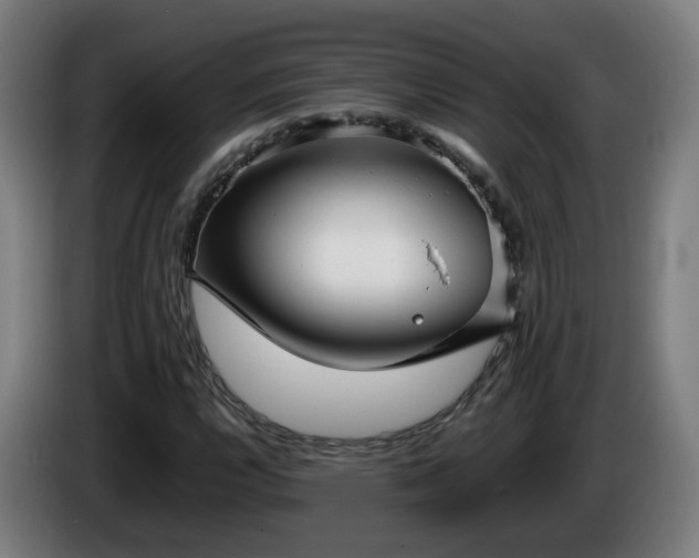 X0000086011112200703301004