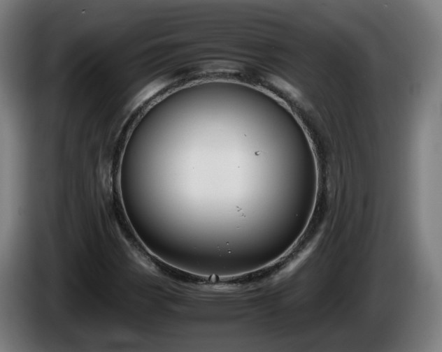 X0000086011113200703301004