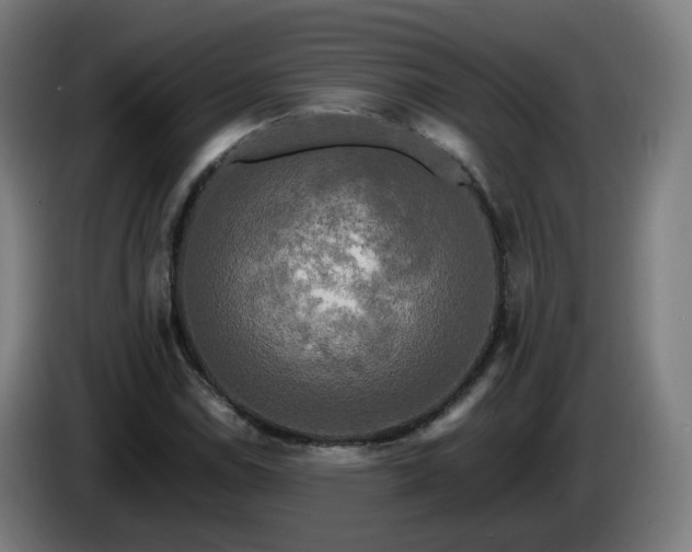 X0000086011114200703301004