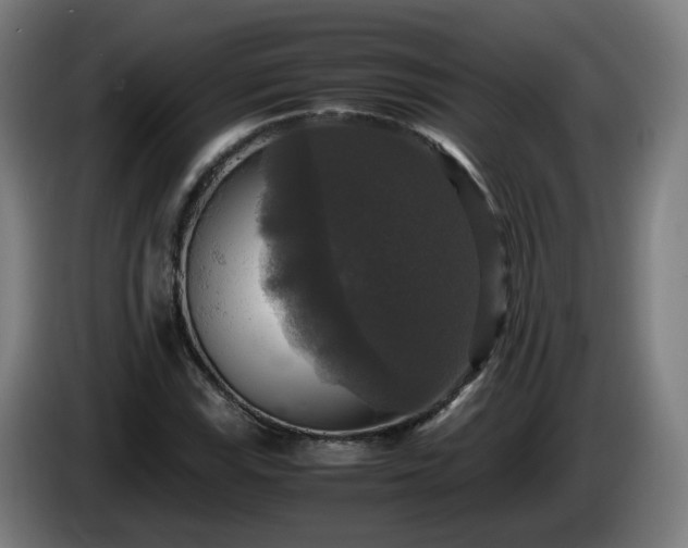 X0000086011115200703301004