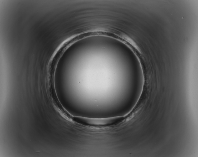 X0000086011116200703301004