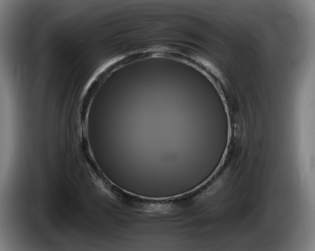 X0000086011117200703301004