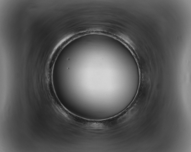 X0000086011119200703301004