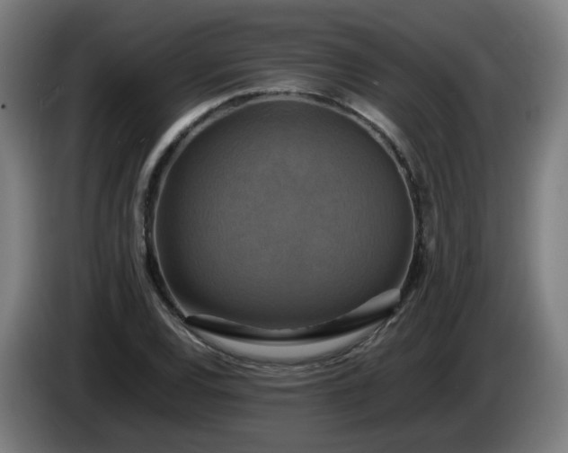 X0000086011120200703301004