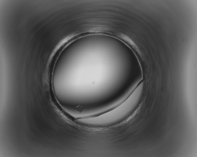 X0000086011122200703301004