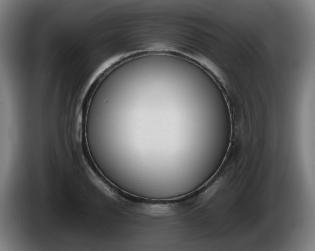 X0000086011126200703301004