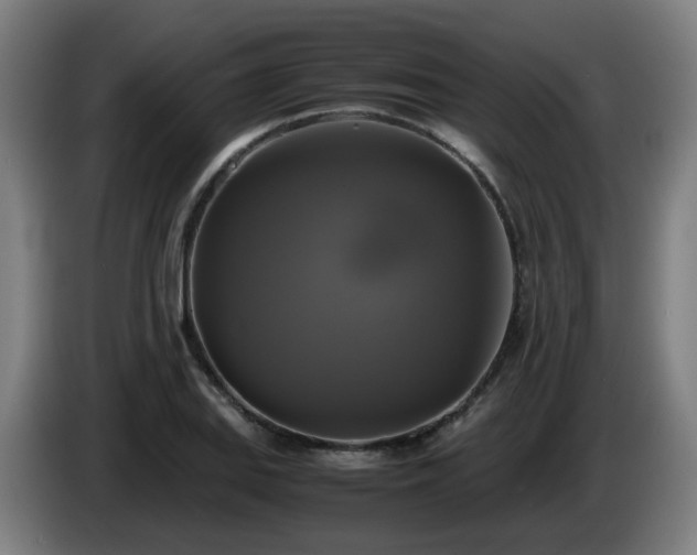 X0000086011127200703301004