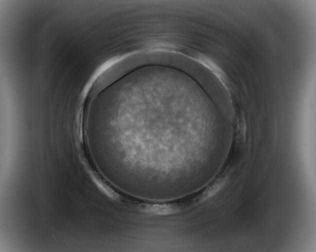 X0000086011128200703301004