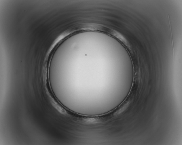 X0000086011130200703301004