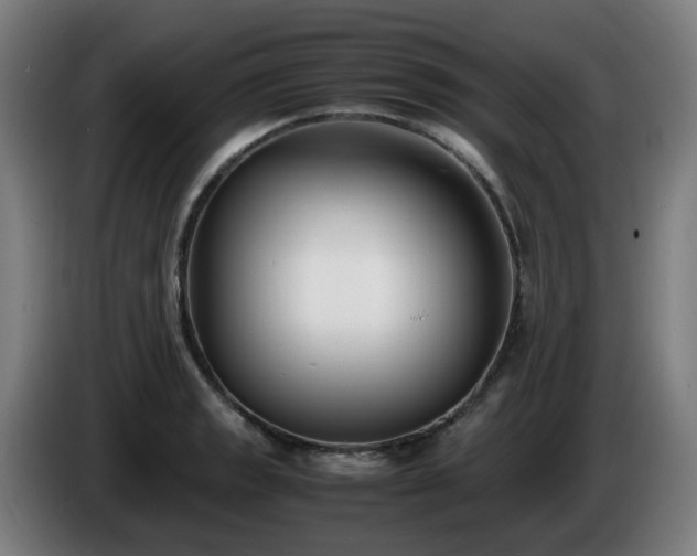 X0000086011133200703301004