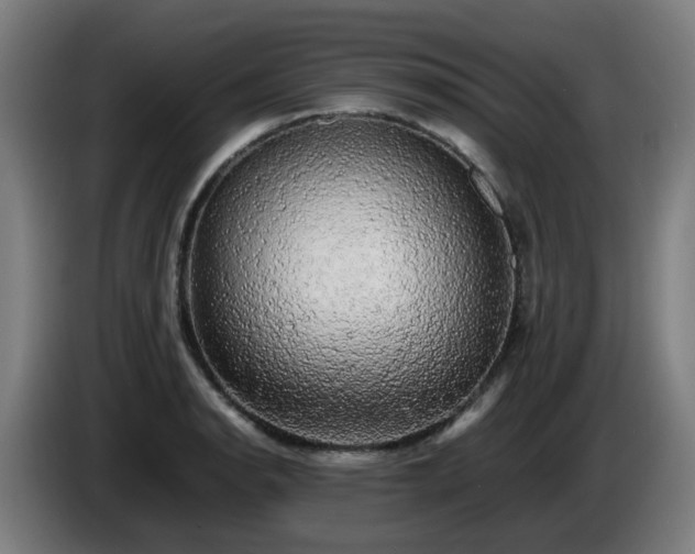 X0000086011134200703301004