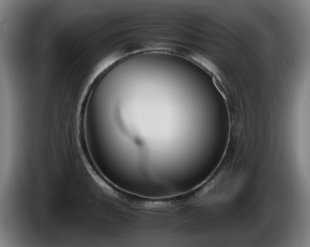 X0000086011135200703301004