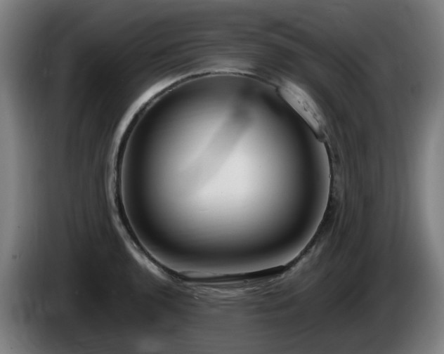 X0000086011136200703301004