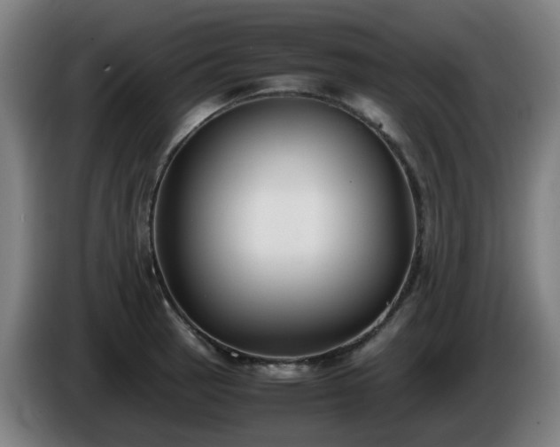 X0000086011137200703301004