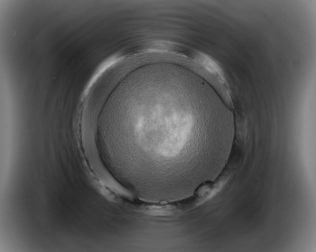 X0000086011138200703301004