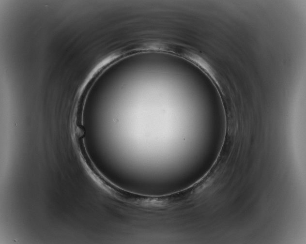 X0000086011139200703301004