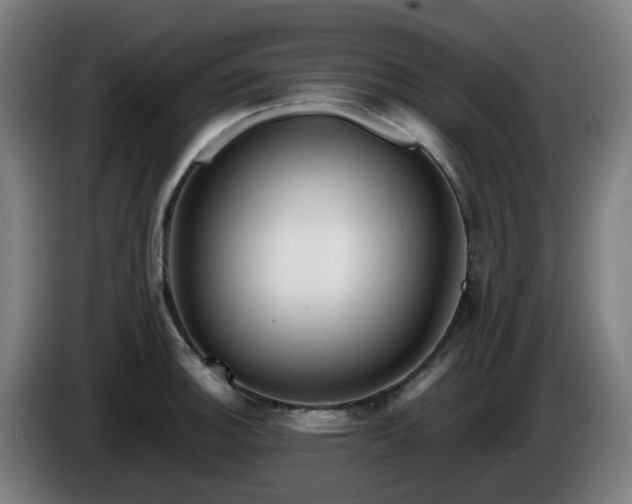 X0000086011140200703301004