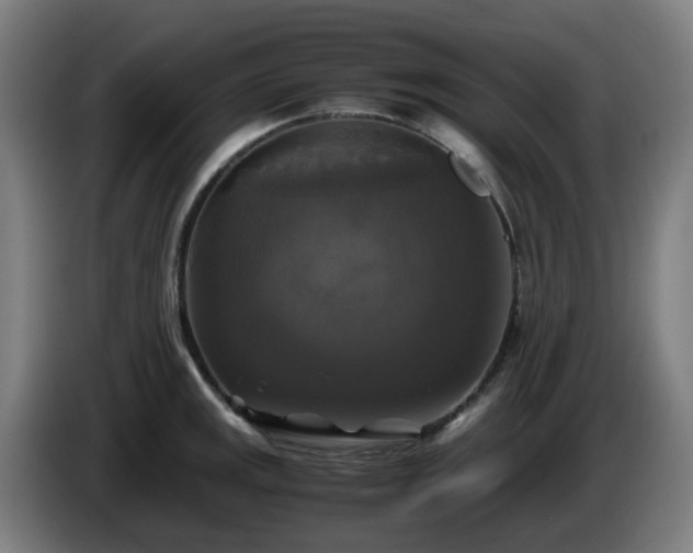 X0000086011141200703301004