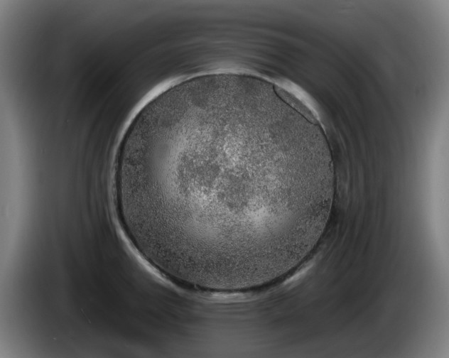 X0000086011142200703301004