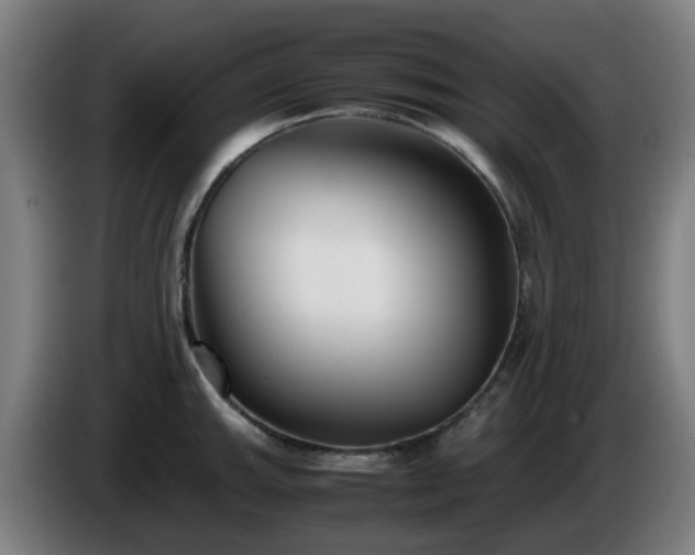 X0000086011143200703301004