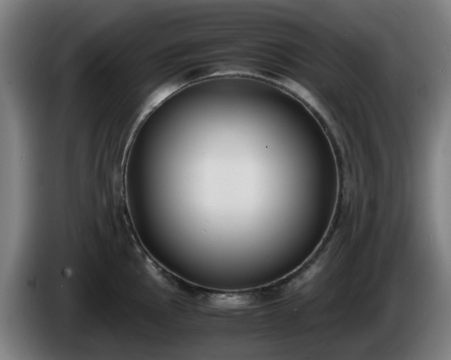 X0000086011145200703301004