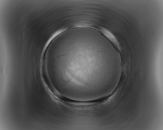 X0000086011146200703301004