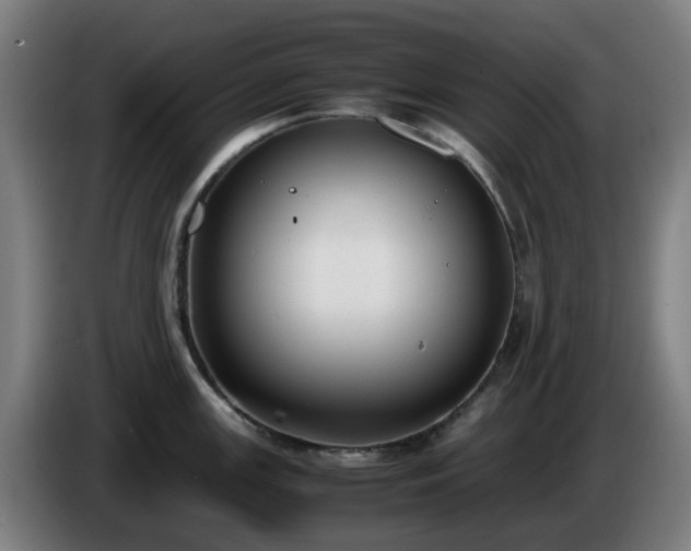 X0000086011147200703301005